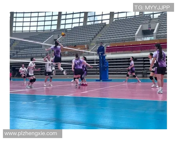 上海排球队实力强劲跻身全国第八名展现出色竞技状态