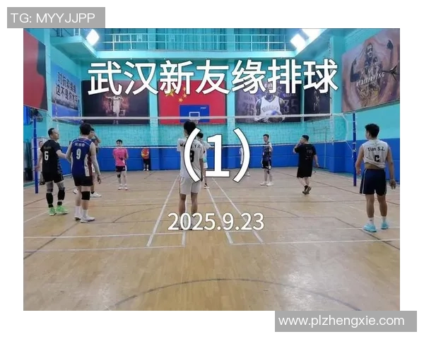 上海排球队的实力揭秘与排球巨献的精彩瞬间