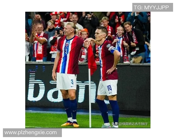 娜威足球明星的身份揭秘与成就分析