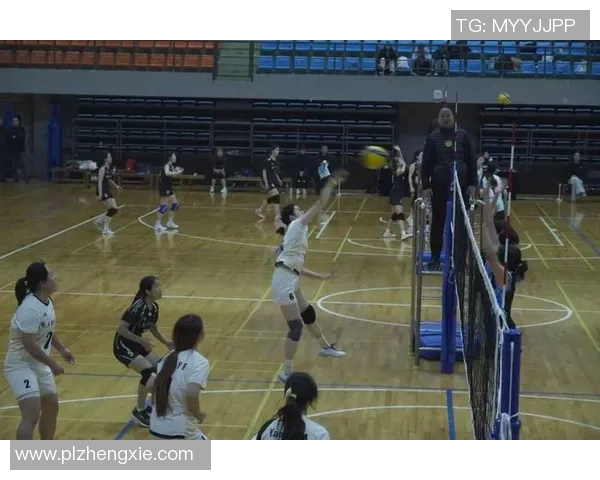 武汉排球队耐力革命引发热议助力竞技水平提升 武汉排球队耐力革命引发热议助力竞技水平提升